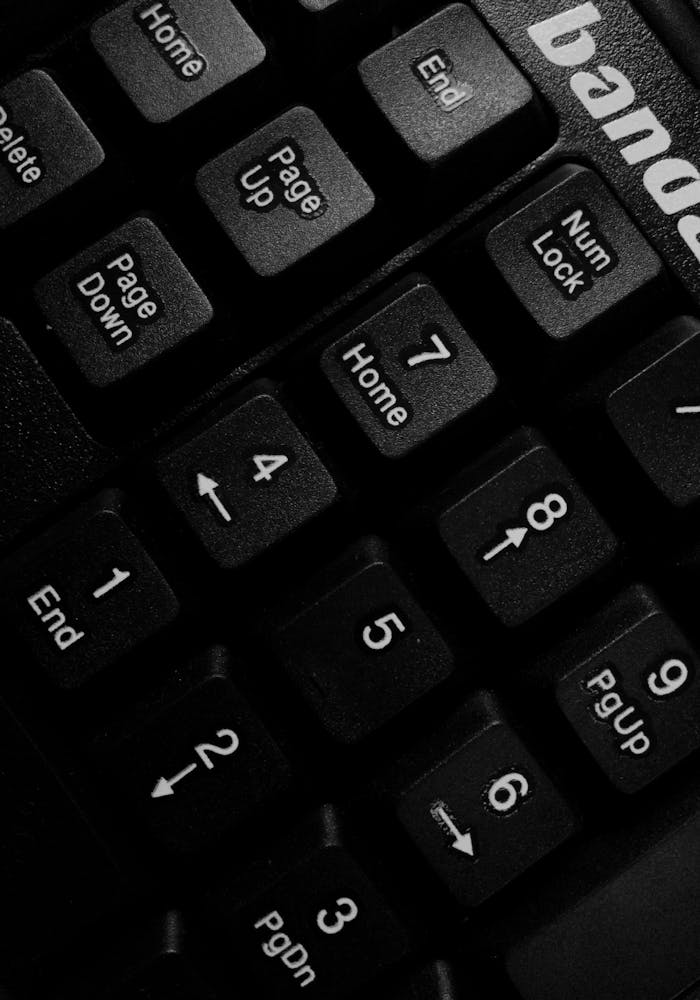 Detailed black and white close-up of a computer keyboard showing numeric keys and directional arrows.